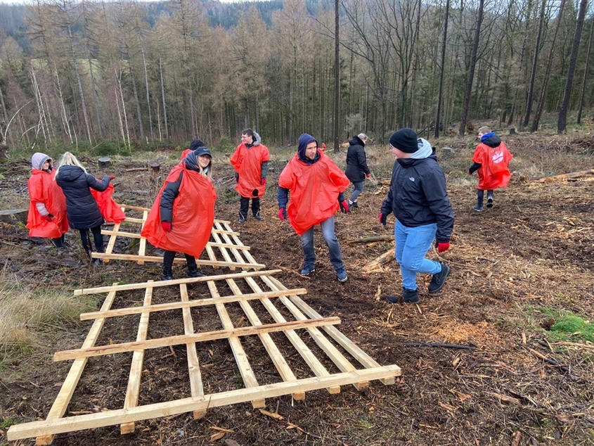 Sparkasse Hildesheim Goslar Peine Anstalt des öffentlichen Rechts: Azubi-Projekt "Wald für morgen"