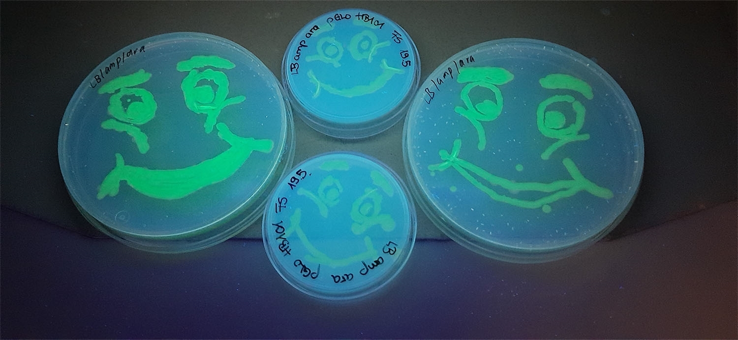 Chemieschule Dr. Erwin Elhardt Bild 13 Chemieschule Dr. Erwin Elhardt Bild 13