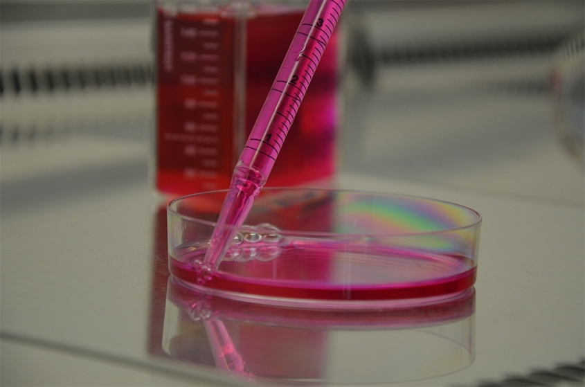 Chemieschule Dr. Erwin Elhardt Bild 10 Chemieschule Dr. Erwin Elhardt Bild 10