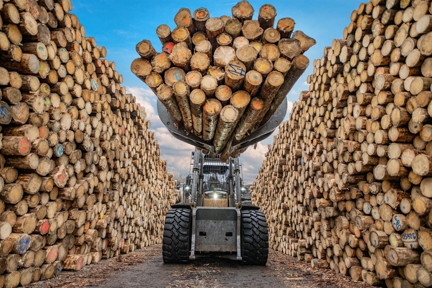 Mercer Timber Products GmbH: Mercer Timber Products GmbH