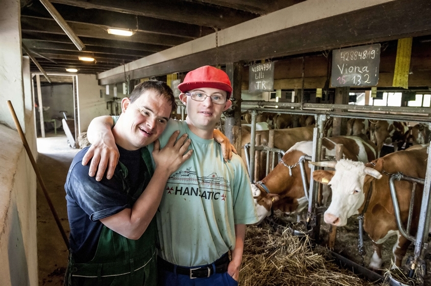 SOS-Kinderdorf e.V. Bild 3 SOS-Kinderdorf e.V. Bild 3