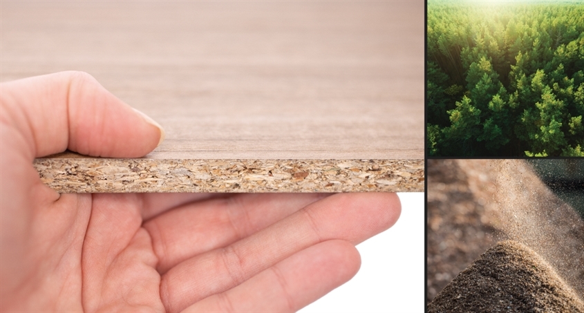 Sonae Arauco Deutschland GmbH: SONAE ARAUCO - Taking wood futher
