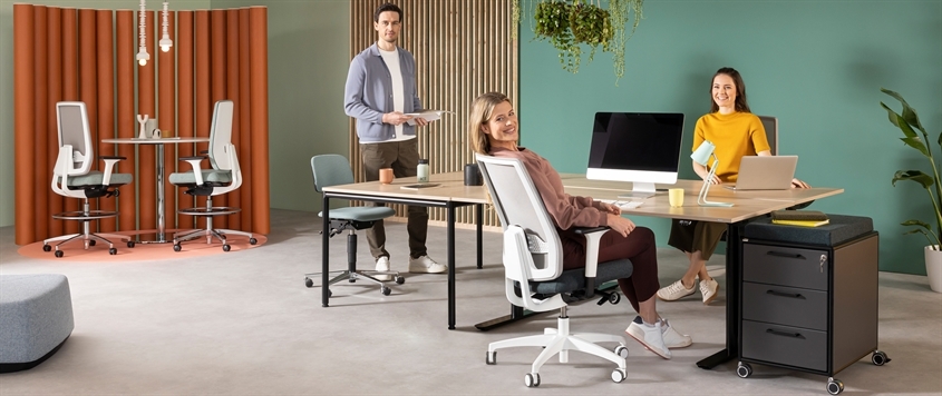 Dauphin office interiors GmbH & Co. KG Bild 2