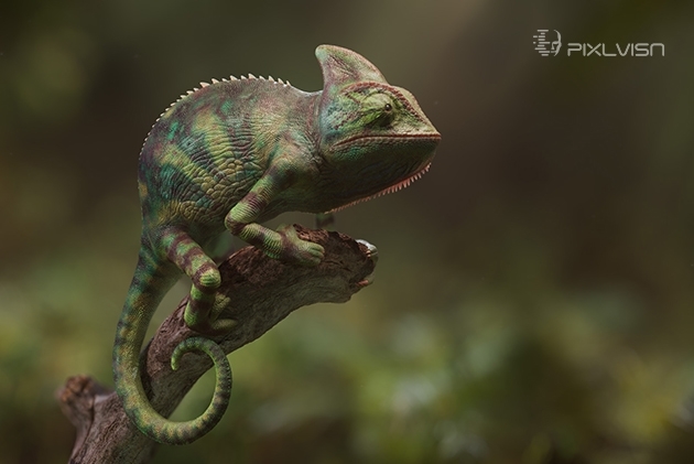 PIXL VISN media arts academy: Projekt "Chamaeleon" von Marius Pörsel