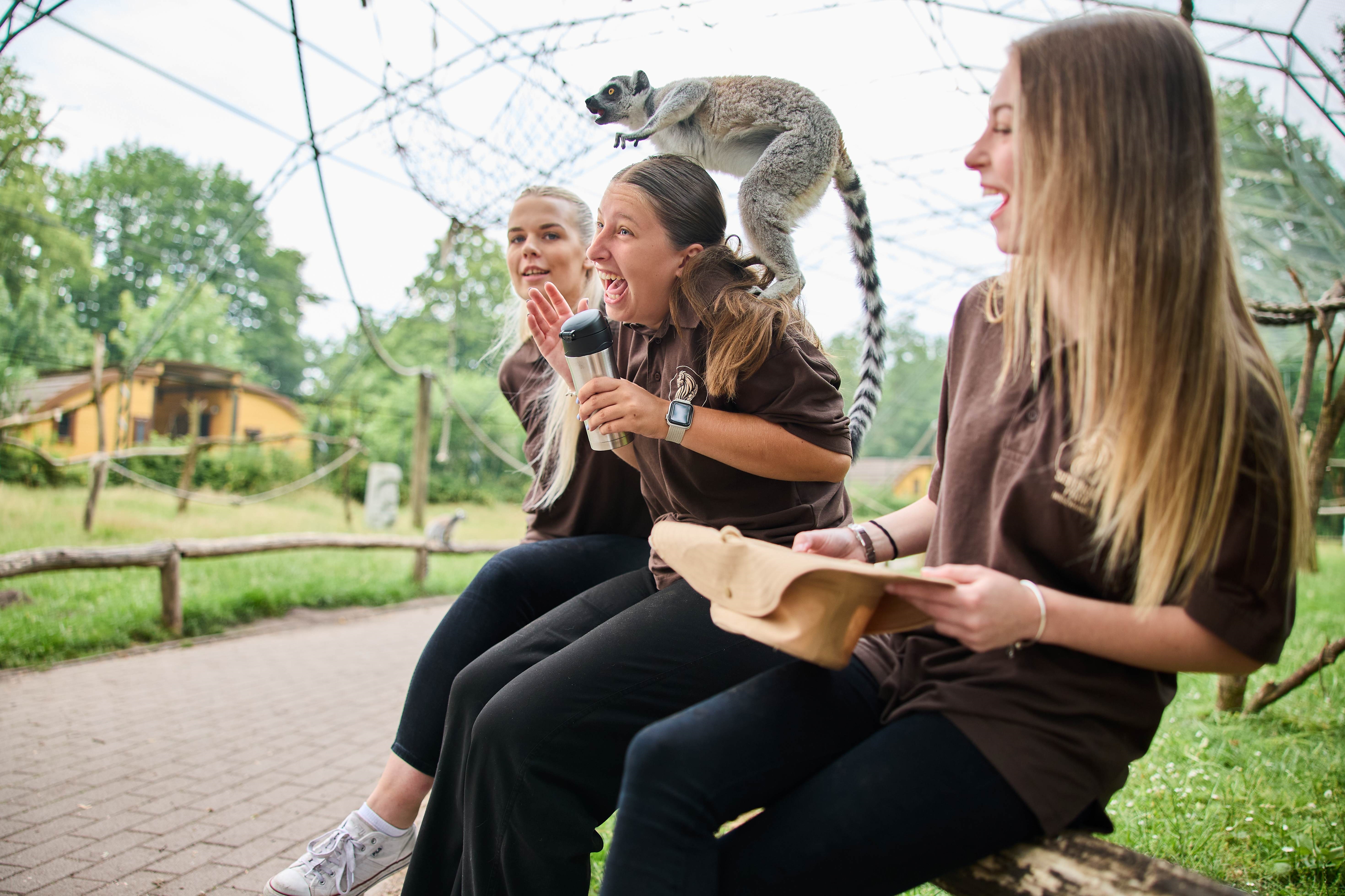 Serengeti-Park Hodenhagen GmbH Bild 1