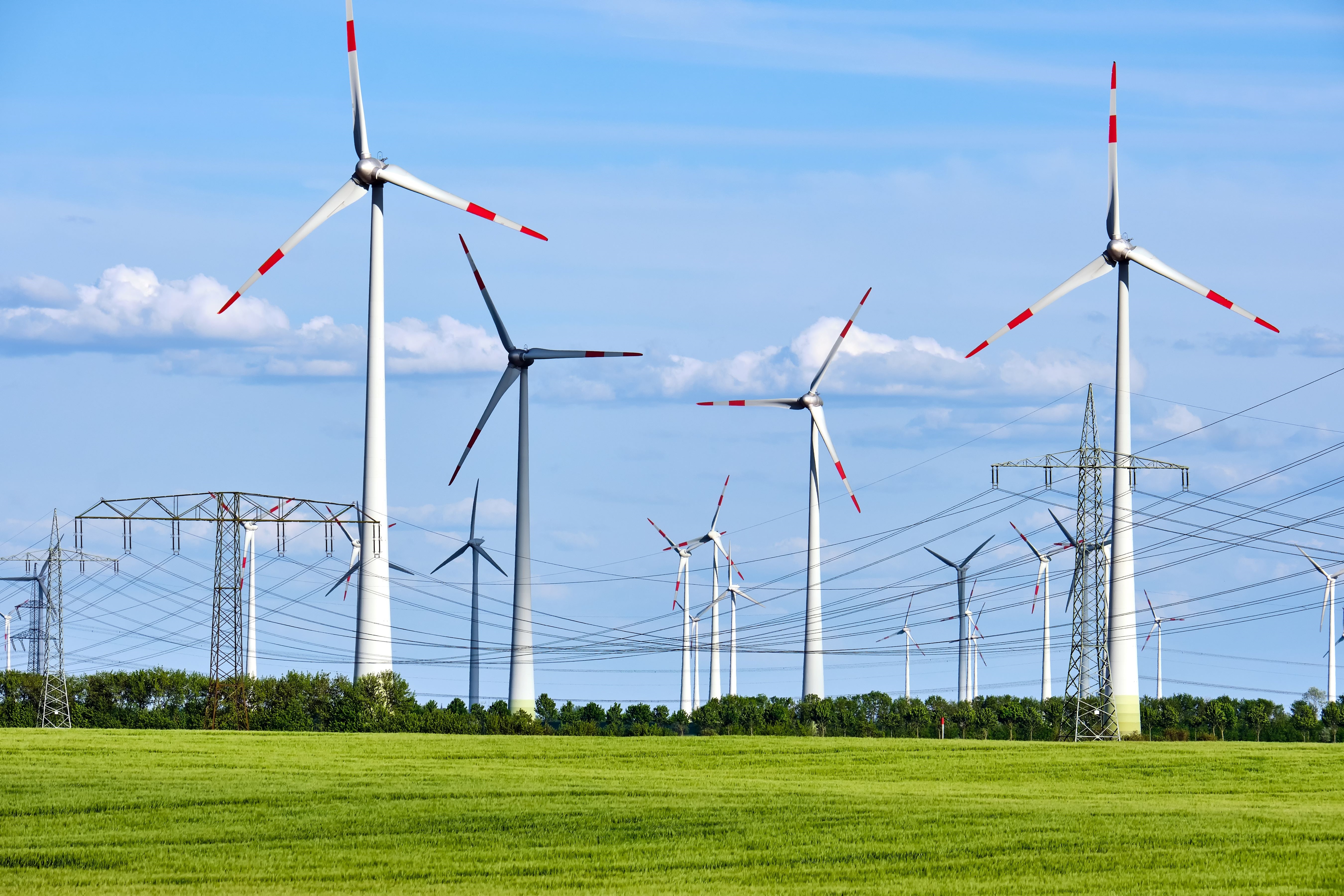energy grid service GmbH Bild 2