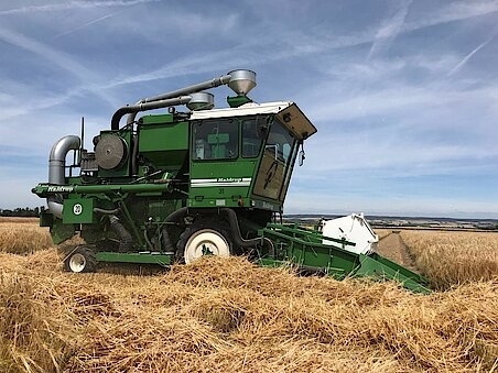 NORDSAAT Saatzucht GmbH Bild 6