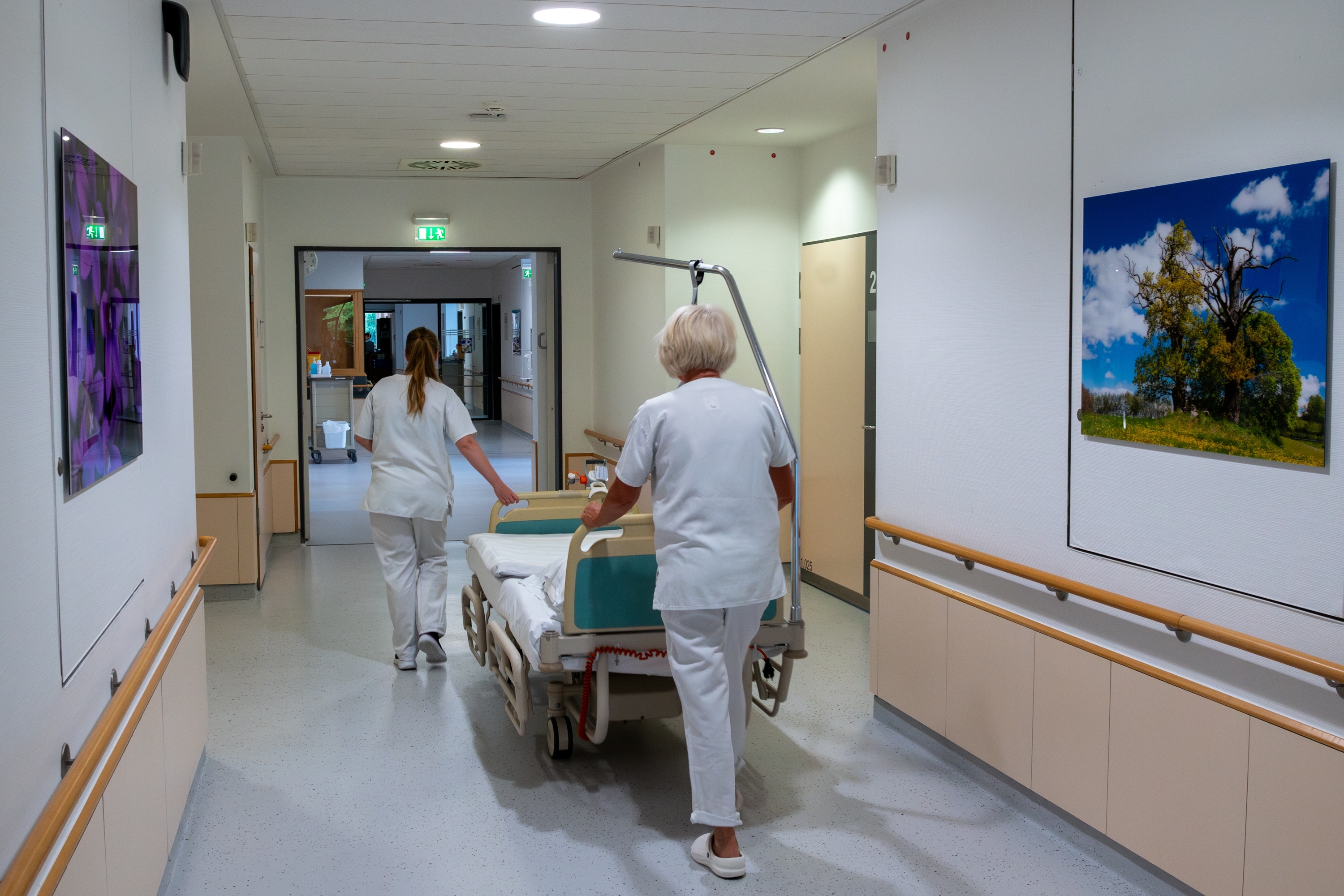 DRK-Krankenhaus Grevesmühlen gGmbH Bild 8