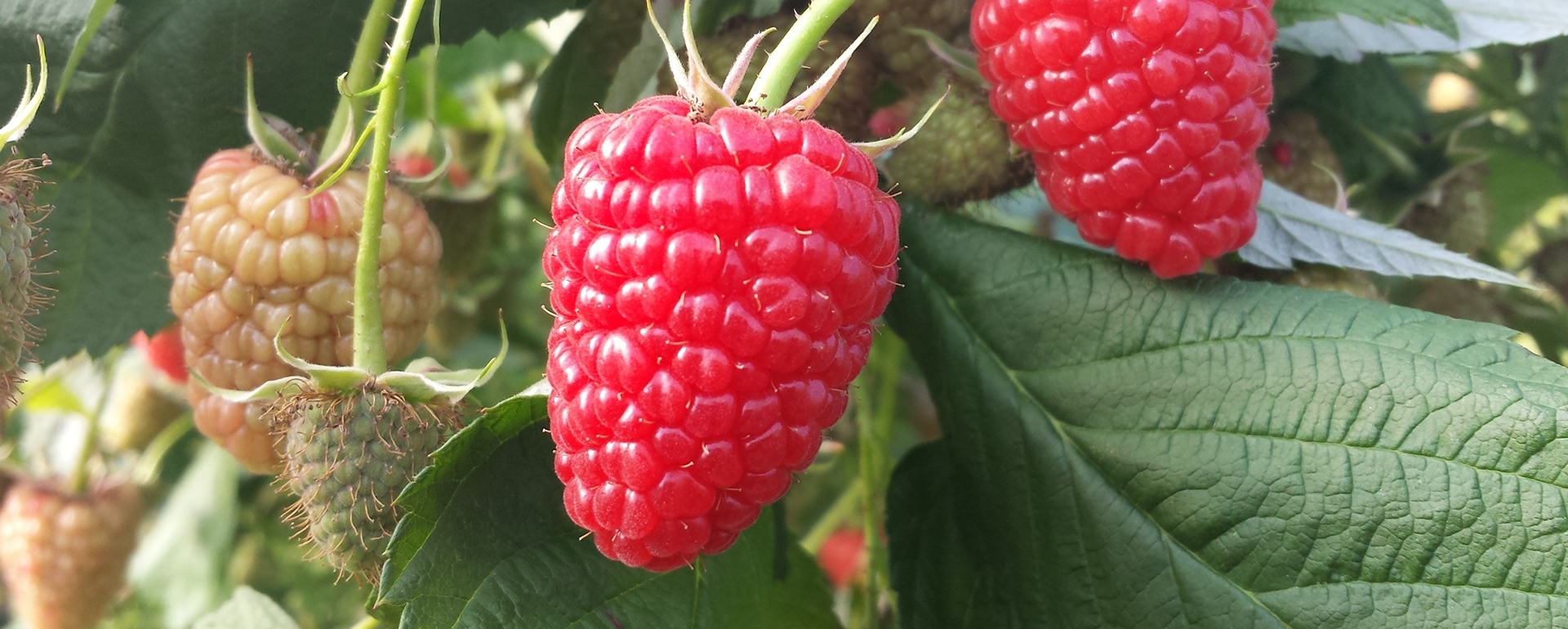 EW GROUP GmbH Bild 7