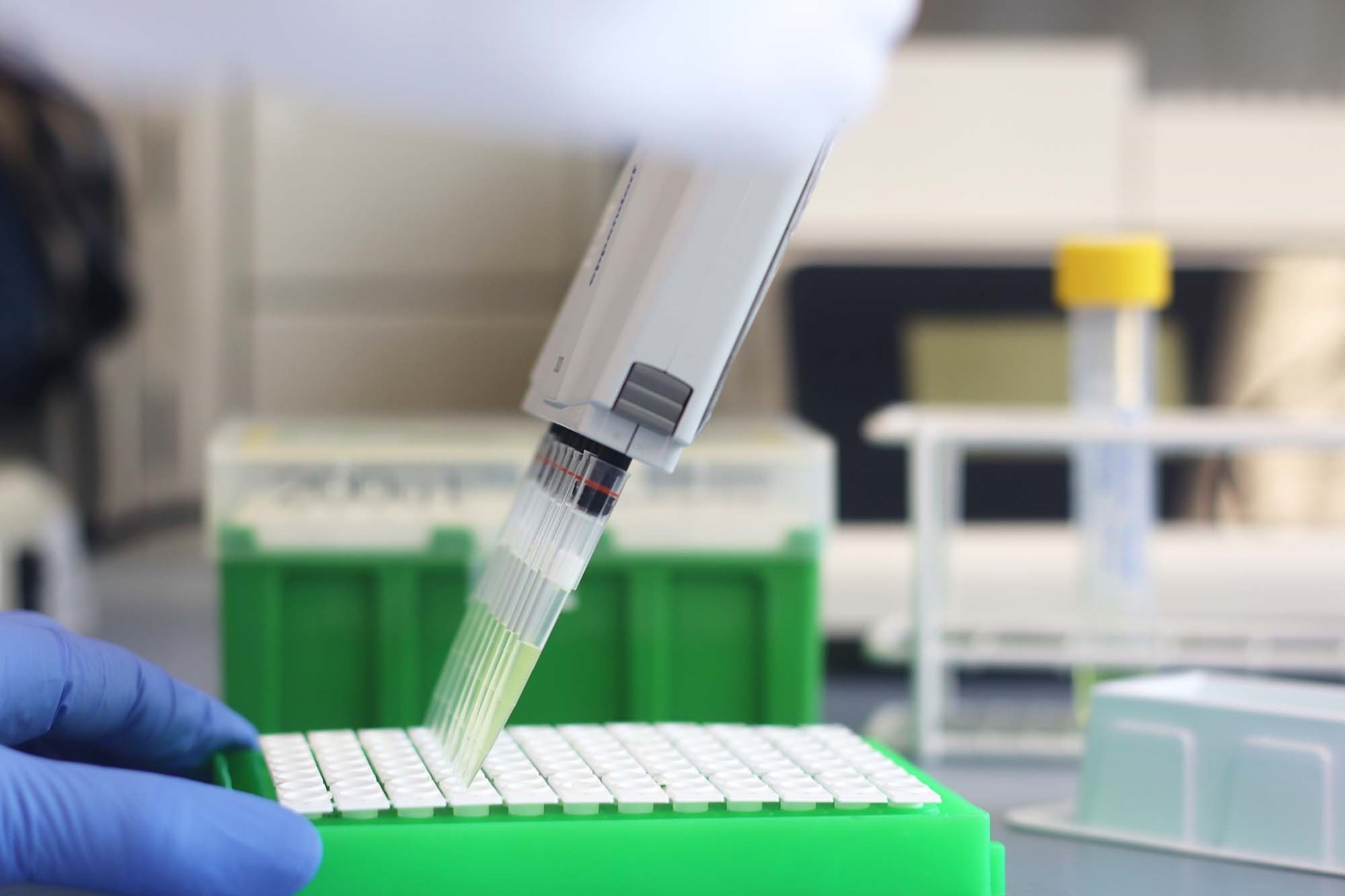 EW GROUP GmbH Bild 8