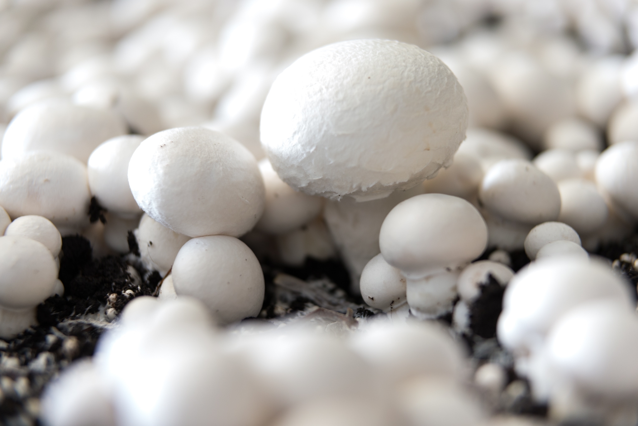 EW GROUP GmbH Bild 6