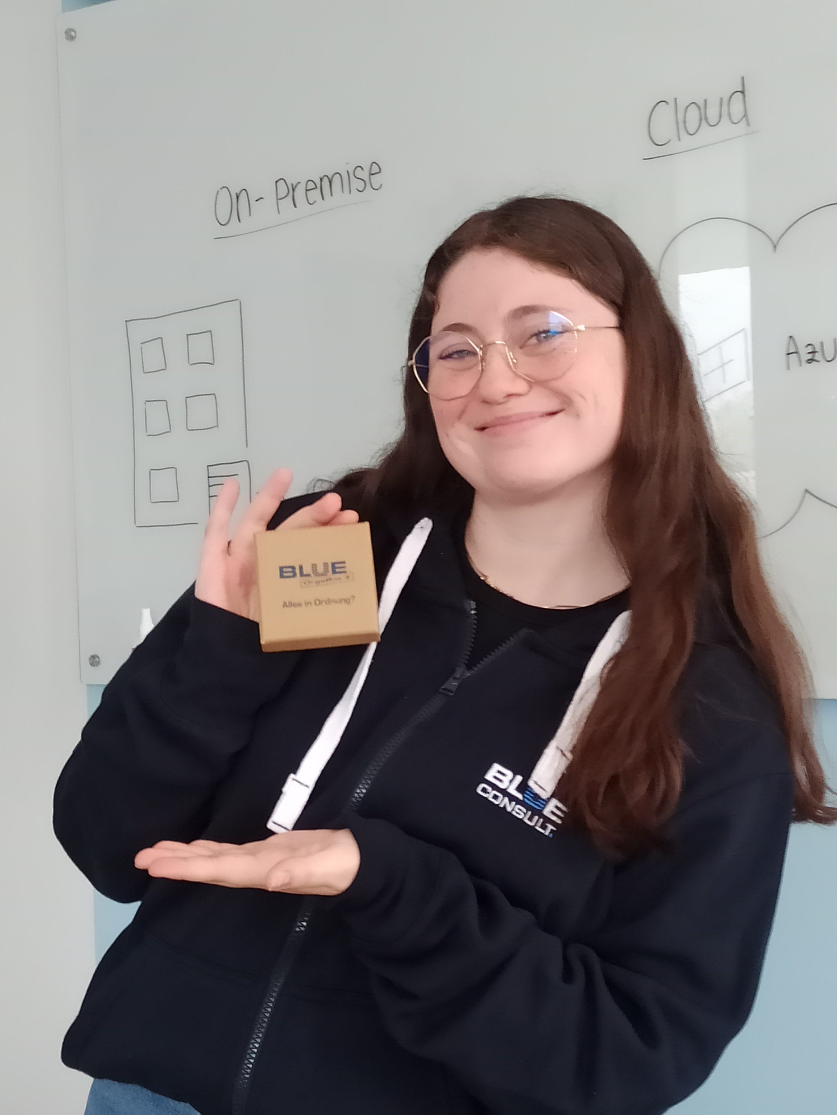 BLUE Consult GmbH Bild 4