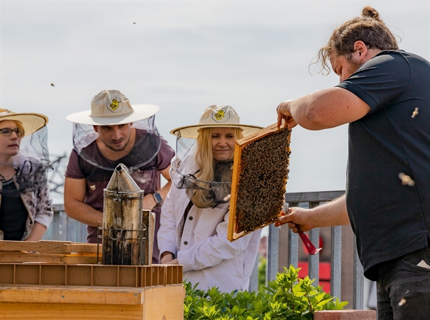 WERTGARANTIE Beteiligungen GmbH: Unsere fleißigen Bienen