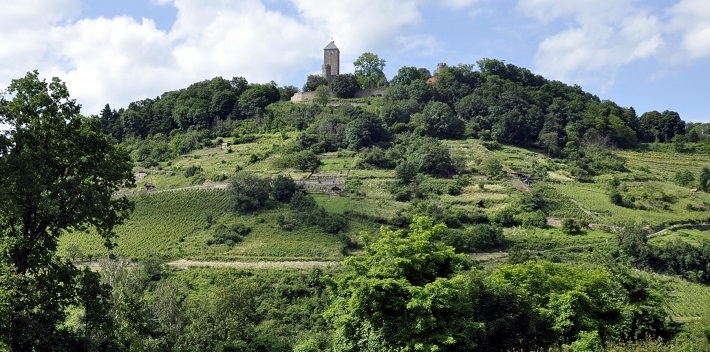 Landkreis Bergstraße (Landratsamt Bergstraße) K.d.ö.R. Bild 3