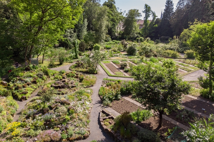 Justus-Liebig-Universität Gießen (JLU): Blick über die Beete des Botanischen Garten (Foto: Till Schürmann)