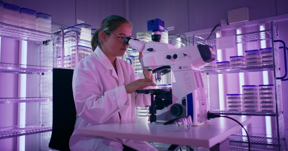 Deutsche Saatveredelung AG Bild 4