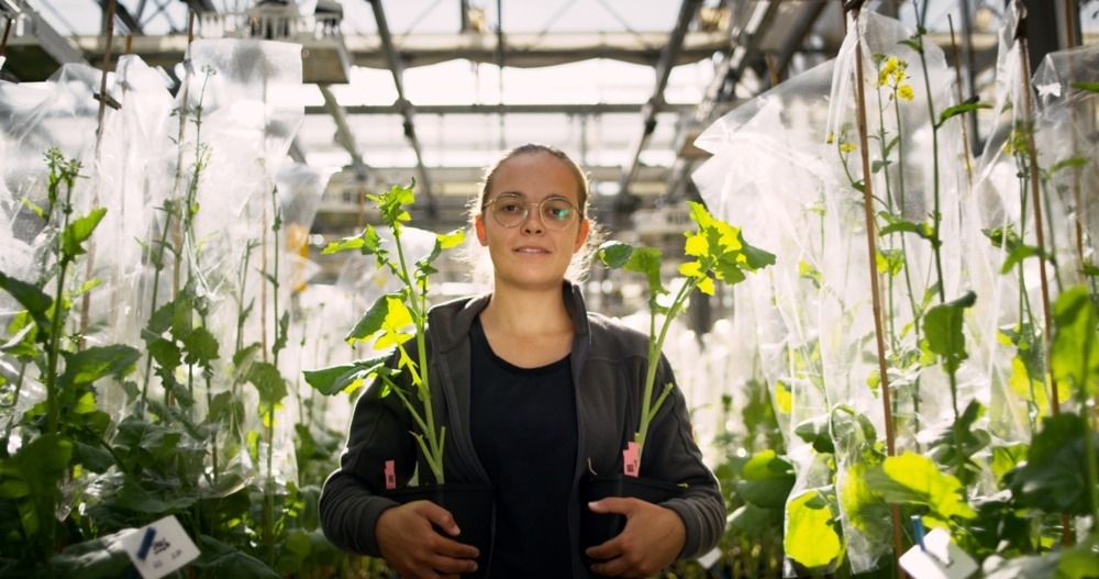 Deutsche Saatveredelung AG Bild 6