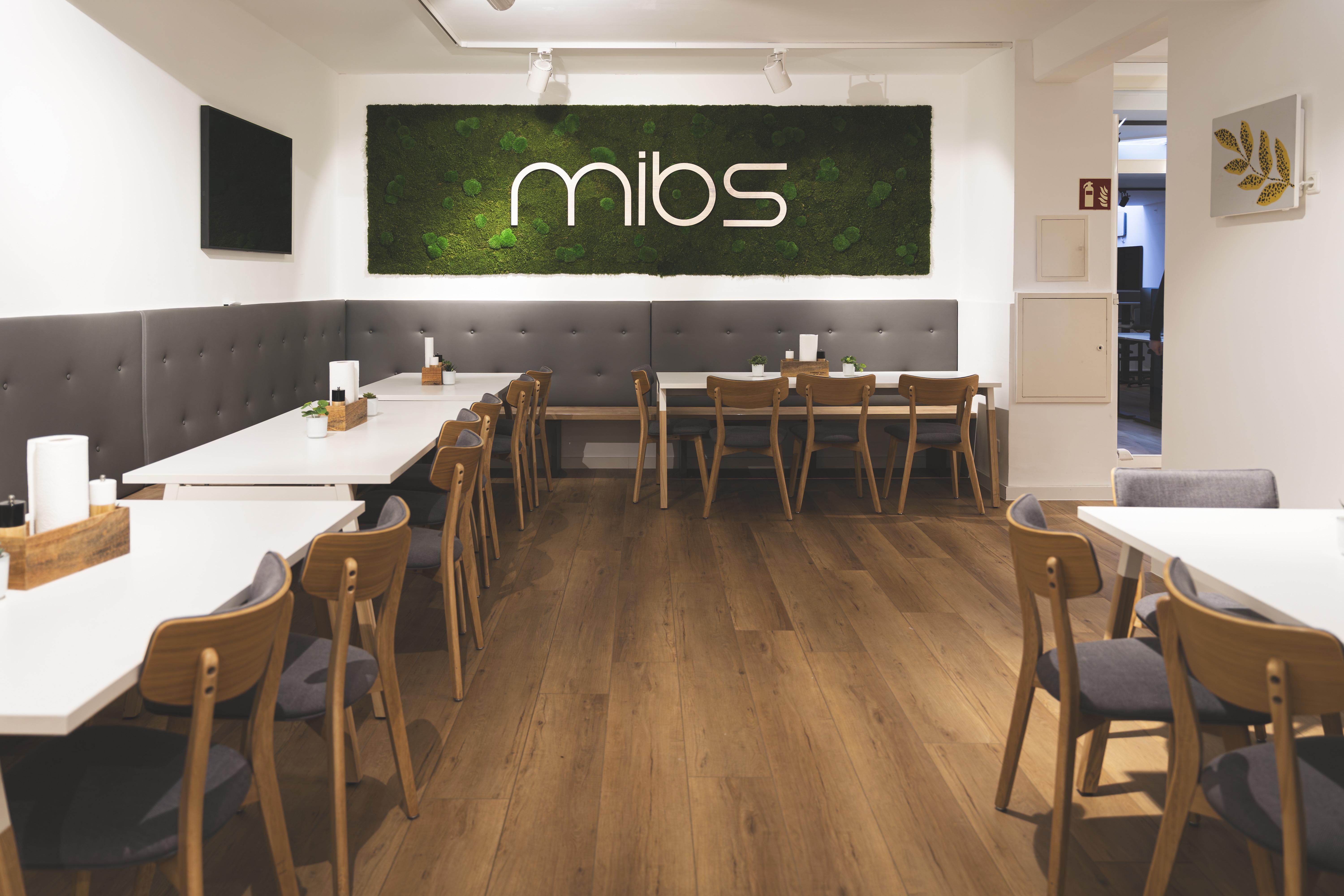 MIBS Aktiengesellschaft Bild 2