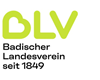 Logo Badischer Landesverein für Innere Mission