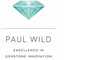 Logo Paul Wild OHG