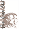 Logo Stadt Hanau K.d.ö.R.
