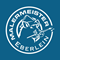 Logo Deine Zukunft ist bunt