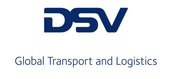DSV Logo