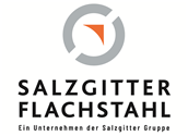 Salzgitter AG Logo