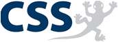 CSS AG Logo CSS AG Logo