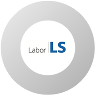 Labor LS SE & Co. KG